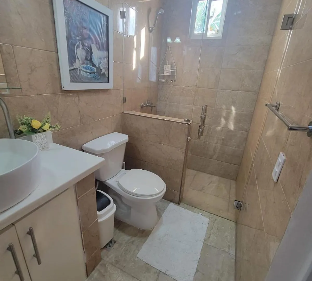 Apartament The Omelis House Samana 0*,